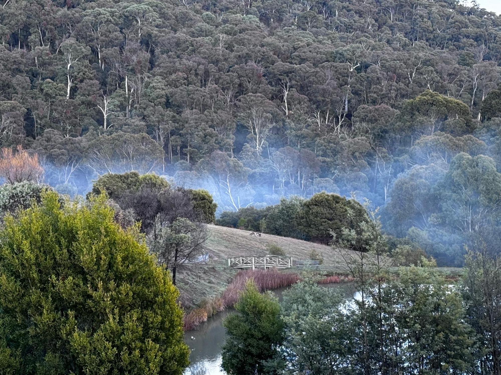 Mt Buller Stayz Merrijig Eksteriør billede
